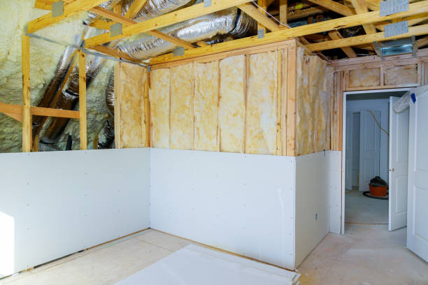 Best Insulation Maintenance and Repair in Littlefield, TX