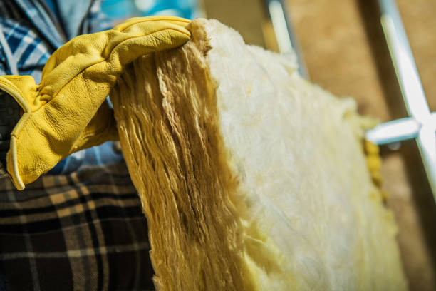 Best Blown-in Insulation in Littlefield, TX